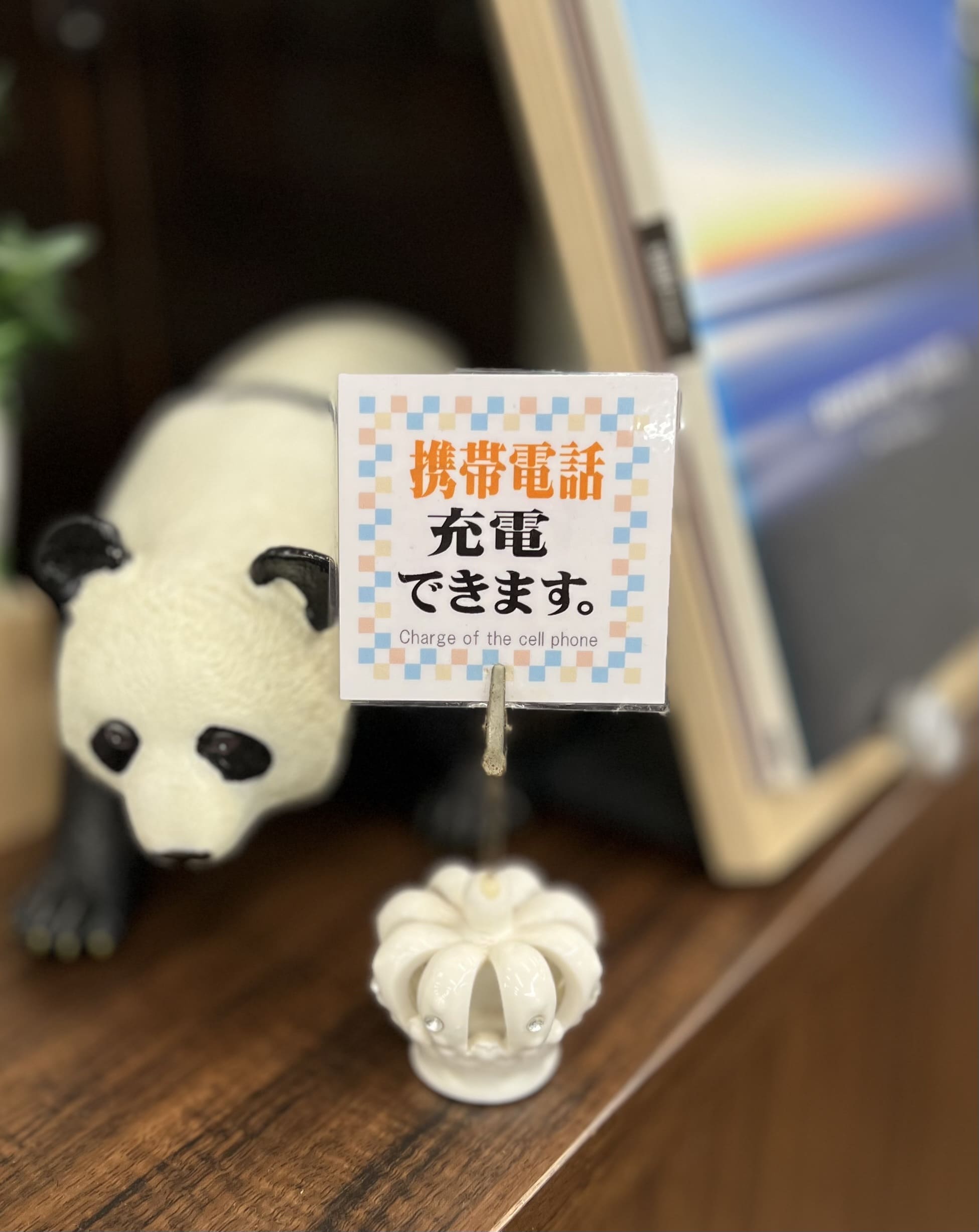 �t����s�̏���/���e/�j���w�A�T�����u�����̏����@����l�v