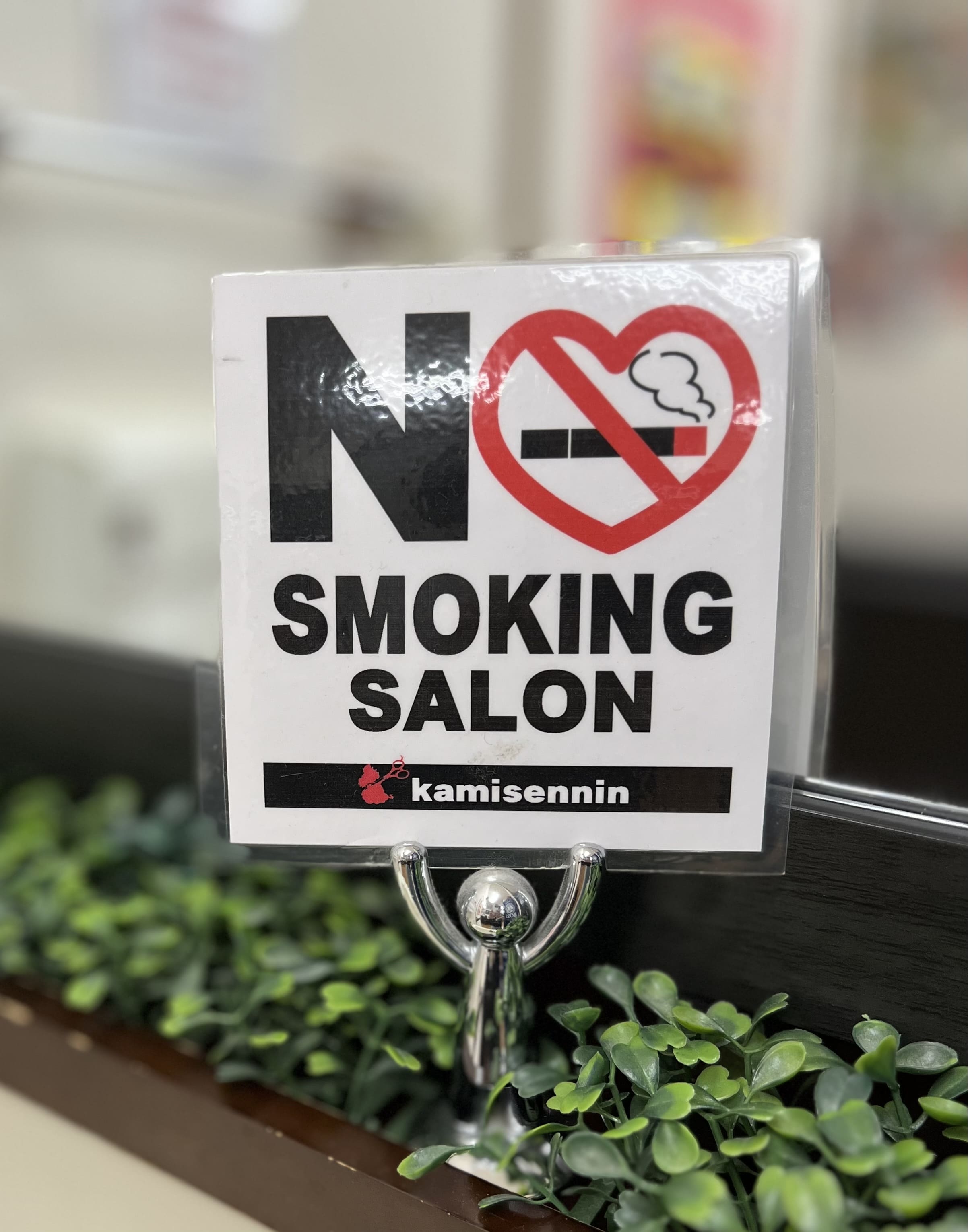 �t����s�̏���/���e/�j���w�A�T�����u�����̏����@����l�v