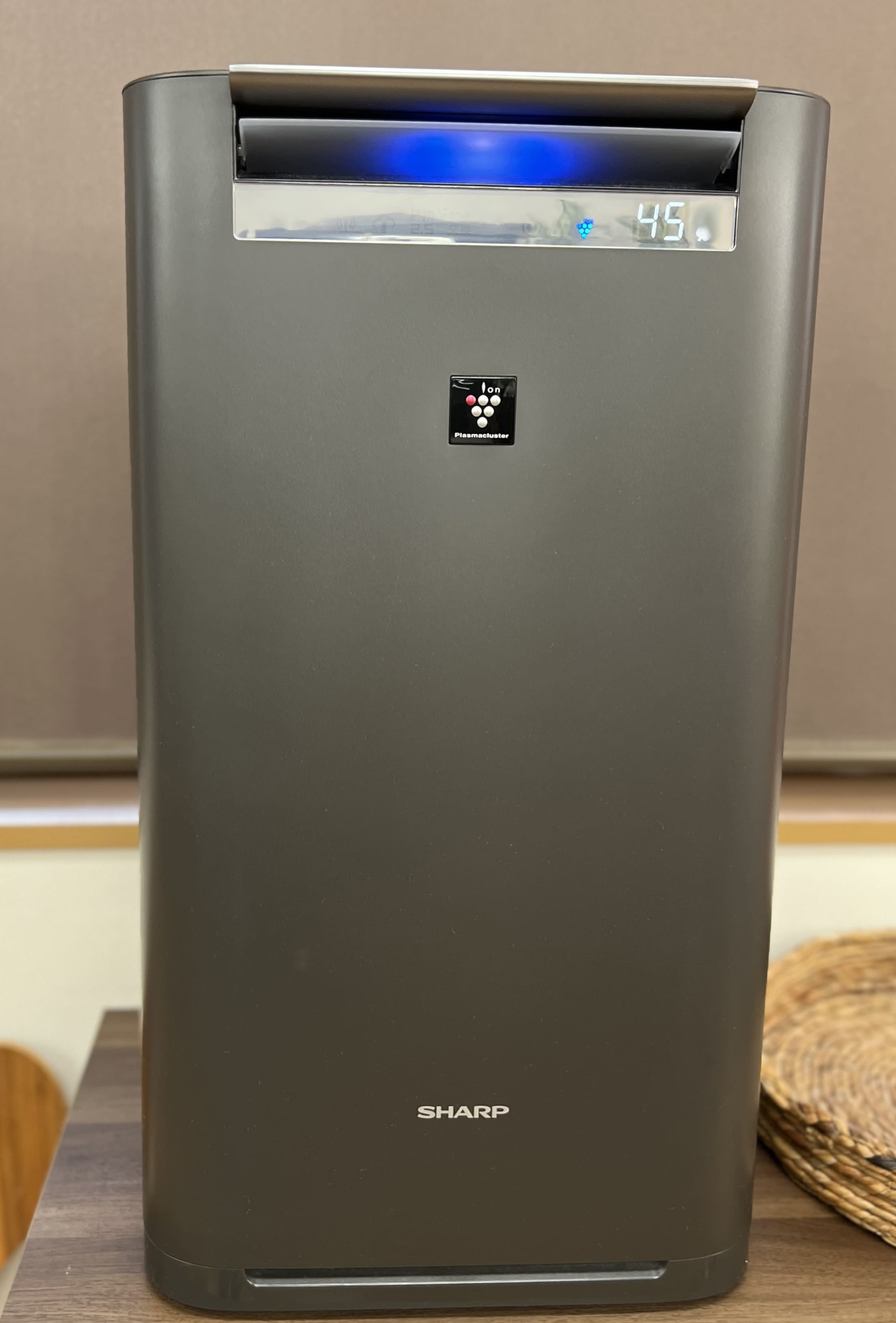 �t����s�̏���/���e/�j���w�A�T�����u�����̏����@����l�v