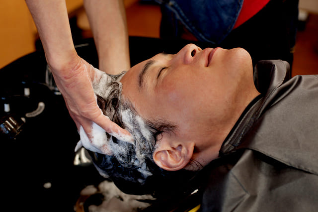 �t����s�̏���/���e/�j���w�A�T�����u�����̏����@����l�v